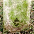 HARVEY Lucy 1835